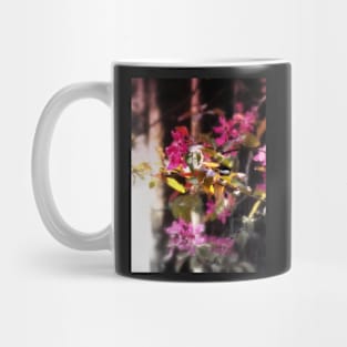 red Malus 'Radiant' crab apple blossoms #3 Mug